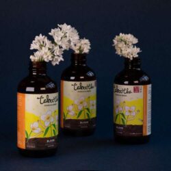 Taboocha Bloom Kombucha 250g