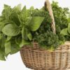 Premium Organic Leafy Green  Veg Box