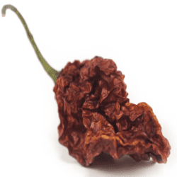 SpiceBox Organics Organic Ghost Pepper 10g (By Weight)