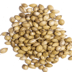 SpiceBox Organics Organic  Coriander Seeds 50g (By Weight)